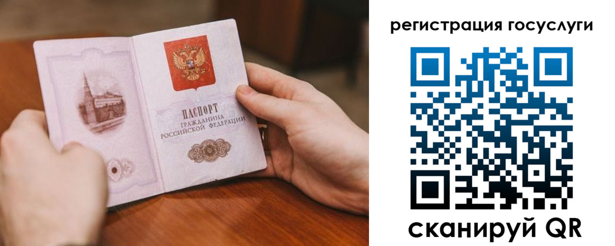 прописка поиск в Чегеме